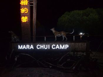 Mara Chui Camp Hotel Ololaimutiek Kültér fotó